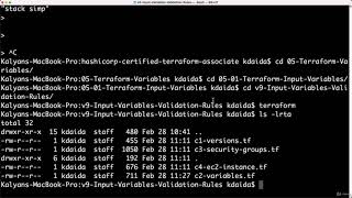 54. Terraform Input Variables Custom Validation Rules