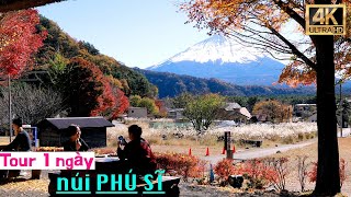 Tour một ngày núi Phú Sĩ Nhật Bản 【Saiko Iyashi-no-Sato Nenba】| Du lịch Japan #explorejapan #travel