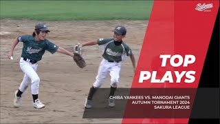 【少年野球】20240929 TOP PLAYS 秋季大会千葉ヤンキースVS.間野台ジャイアンツ #佐倉リーグ #少年野球 #topplays