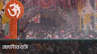 पशुपतिनाथमा महाशिवरात्रिको रौनक । कान्तिपुर समाचार