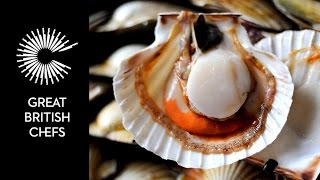 How to open a scallop