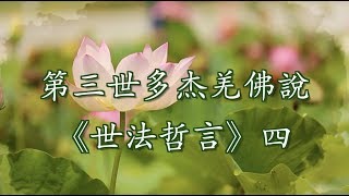 第三世多杰羌佛說《世法哲言》（四）