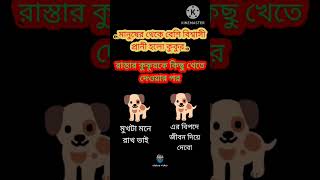 মানুষের থেকে বেশি বিশ্বাসী প্রাণী হল কুকুর 🐕 রাস্তার কুকুর কে কিছু খেতে দেওয়ার পর । মুখটা চিনে রাখে