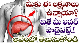 Is Your LIVER Functioning Properly? | Liver Problem Symptoms | Health Tips in Telugu | VTube Telugu