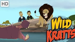 Wild Kratts - The Most Deadly Animals in Africa