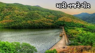 mari najare gir | Gir Forest | મારી નજરે ગીર |#sasangir  #girforest #marinajaregir @aapnugir​