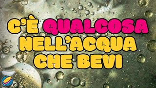 Sai DAVVERO cosa c'è nell'acqua che bevi?