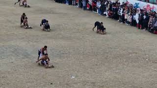 Traditional Wooden Kart Racing | Thuni Festival, Zhavame Village, Nagaland