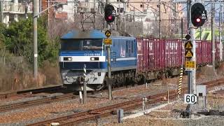 JR貨物 EF210-108号機（新鶴見）＋コキ21両　貨物列車2073レ 2024.03.02