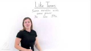 What are Like Terms?