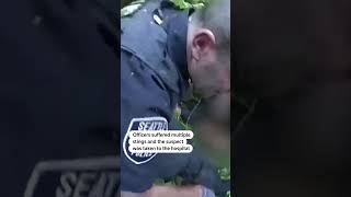 Police officers swarmed by wasps during arrest