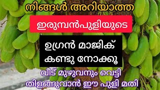 💯 ഇരുമ്പൻപുളികൊണ്ട് വീട് മുഴുവനുംവെട്ടി തിളങ്ങുന്നമെന്ന് സ്വപ്നത്തിൽപോലും വിചാരിച്ചില്ല|cleaningtips