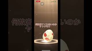 【ポケモンGO】12kmタマゴ割り🥚✨#shorts #ポケモンgo #ヨルシカ＃ただ君に晴れ