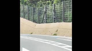 Shikaumi Shrine ,japan 志賀海神社