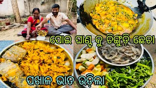 ପୋଇ ଘାଣ୍ଟ କୁ ଚିଙ୍ଗୁଡ଼ି ଛେଚା ପଖାଳ ଭାତ ଉଡ଼ିଲା || Odisha Food || Odisha Food Vloge || Village Cooking