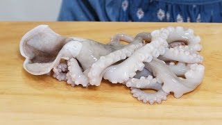 Small Octopus preparation ; 낙지손질법, 낙지볶음용 낙지손질하는 방법