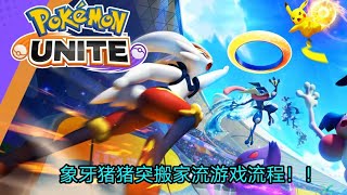 「Pokémon Unite」象牙猪开箱，顺便测试猪突搬家流！！！