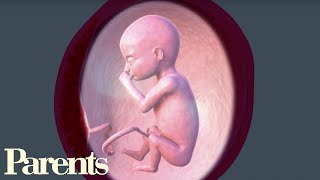 Second Trimester Begins: Weeks 13-16 of Pregnancy | Parents