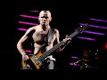 Red Hot Chili Peppers - Dani California (Bass backing track)