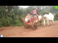 aggression of yergopp and mannikeri racing bulls running in bailgadi sharyat