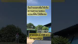 รื้อบ้านออกให้เห็นความสวยของแปลงที่ดิน ขายที่ 739 ตรว #ขายที่ดิน #ขายที่ดินระยอง #ที่ดินติดคลอง