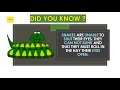 Did You Know Facts ? | The Amazing Fact | Random facts| Daily5Facts