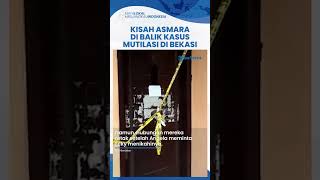 Kisah Asmara di Balik Kasus Mutilasi di Bekasi, Kenal Pelaku Sejak 2018, Tewas Dihabisi pada 2021