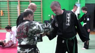 Hapkido seminar by Master Peter Sanders in Zagreb, Croatia