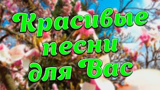 Заходи и Слушай! Здесь самые Добрые песни!