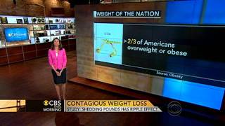Obesity Is Contagious