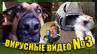 ВИРУСНЫЕ ВИДЕО / Подборка смешные моменты №3