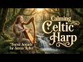 Calming Celtic Harp 🍃 Forest Sounds for Stress Relief