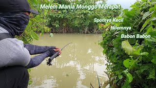 ISTIMEWAH MASSEH ‼️ Mancing Nilem Plung Wak Babun #NutulNilem #NutulMelem