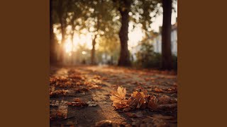 Glow on Leaf-Strewn Path