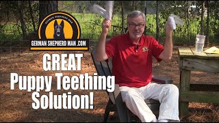 GREAT puppy chewing & teething solution with GSM