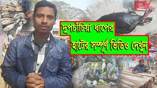 দুপচাঁচিয়া ধাপের হাটের সম্পূর্ণ ভিডিও দেখুন || Full Video Of The Market || হাজেরা ভিশন