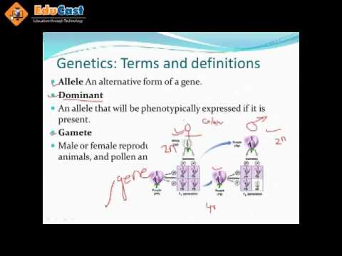 Biology - YouTube