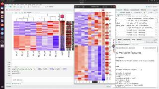 How to make a heatmap of differentially expressed genes in R (complex version).