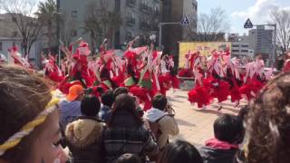 颯戯 浜松がんこ祭東街区ロータリー会