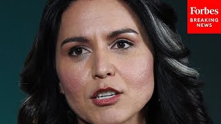 SUPERCUT: Key Moments Of Tulsi Gabbard—Trump's Choice For DNI—During The Biden Administration