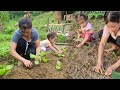 The simple daily life of Quynh and her mother and children who left the street for the garden