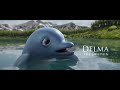 delma the dolphin