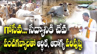 ప్రకృతి సేద్యం చేసే రైతులకి ఆవులు | పంచగవ్యాలతో వైద్యం, వ్యవసాయం | మహర్షి గోశాల | S Ramesh