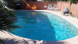 Home For Sale In Phoenix, AZ 85022 zip code