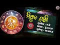 gemini mithuna rashi masika rasifala monthly horoscope november 2024 horoscope rashifal odia