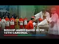 Bishop Ambo David is Philippines' 10th cardinal | ABS-CBN News