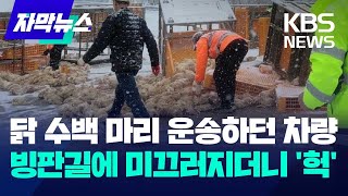 [자막뉴스] 닭 수백 마리 운송하던 차량…빙판길에 미끄러지더니 '헉' / KBS 2023.12.22.