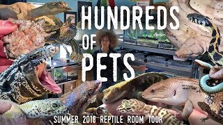 Reptile Room Tour Summer 2018 | Hundreds Of Animals In One Room!
