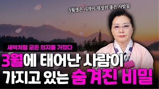 음력 3월에 태어난 사람들은 어떤 사주의 특징을 가지고있을까? ••• 돋아나는 새싹처럼 강한 힘을 가지고 있는 3월생들의 비밀은?! (안양점집)