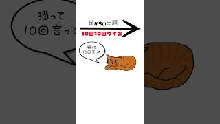 【猫からの出題】『10回10回クイズ』 #shorts #ネコメディー #なぞなぞ #ねこ好き #正解